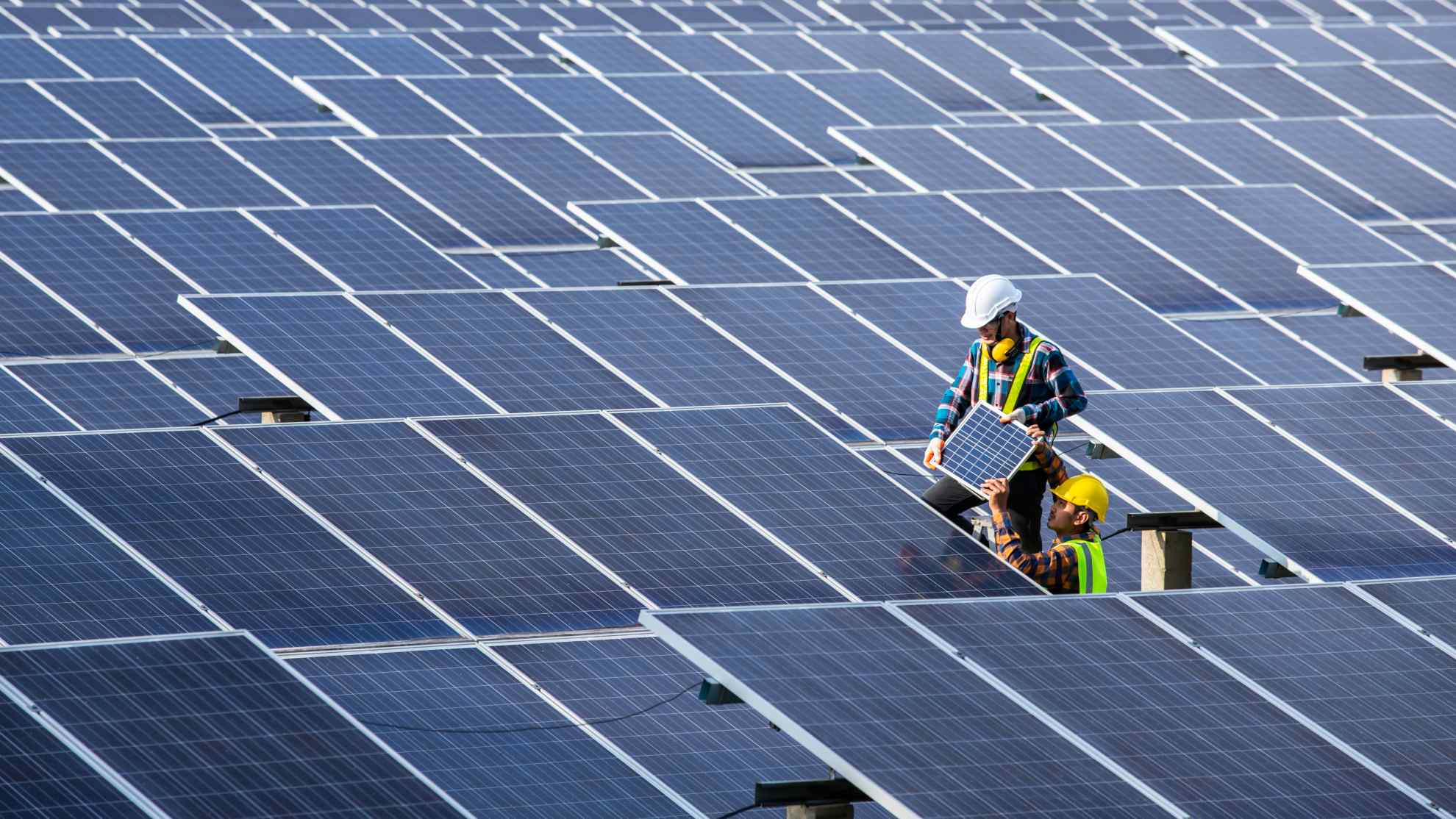 Did you know home_img